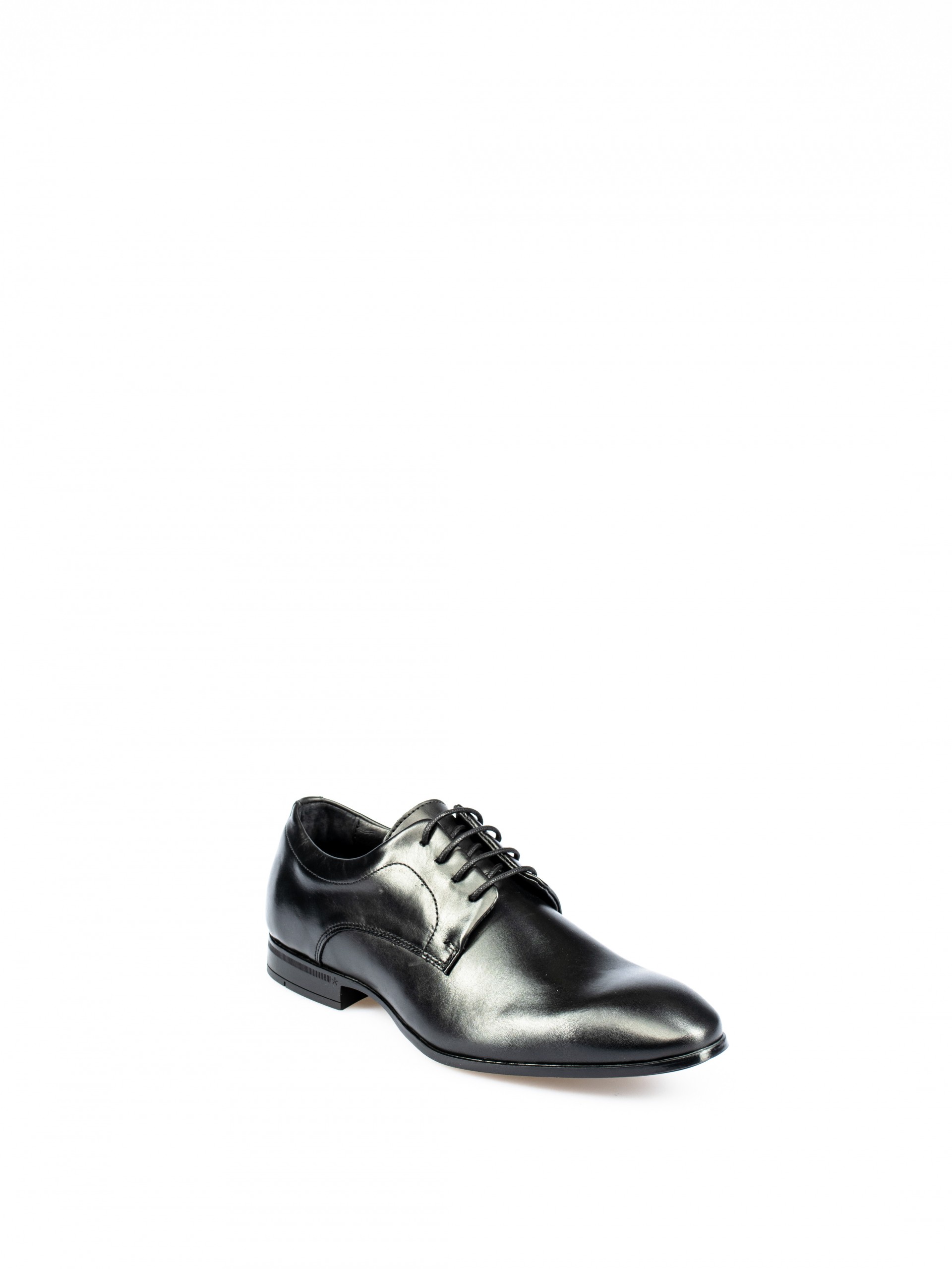 Classic Leather Shoes