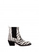 Zebra Zebra