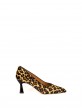 Leopardo