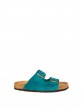 Teal Blue