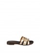Champagne 