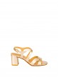Champanhe Champanhe