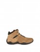Taupe Taupe